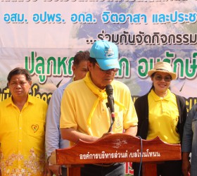 โครงการปลูกหญ้าแฝก