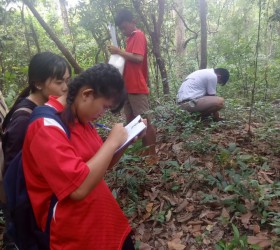 โครงการอนุรักษ์พันธุกรรมพืชอันเนื่องมาจากพระราชดำริสมเด็จพระเทพรัตนราชสุดาฯ สยามบรมราชกุมารี